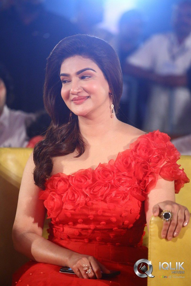 VeeraSimhaReddy-Pre-release-event